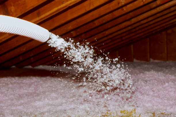 Best Insulation Installation Services in West Milton, OH